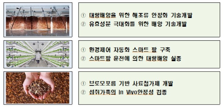 이미지명